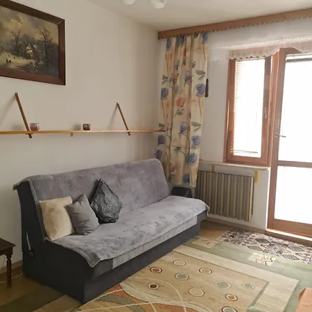 Guest house Pod Brzozami