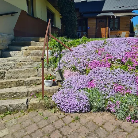 Pod Brzozami Guest house