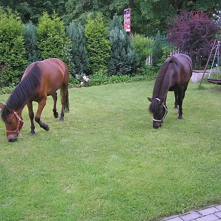 Casa de hóspedes Pod Brzozami Korbielów