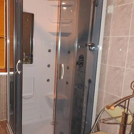 Guest house Pod Brzozami *