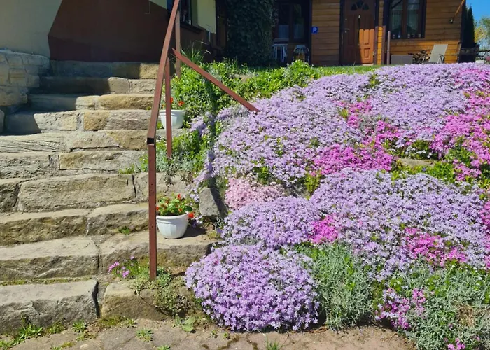 Pod Brzozami بيت ضيافة