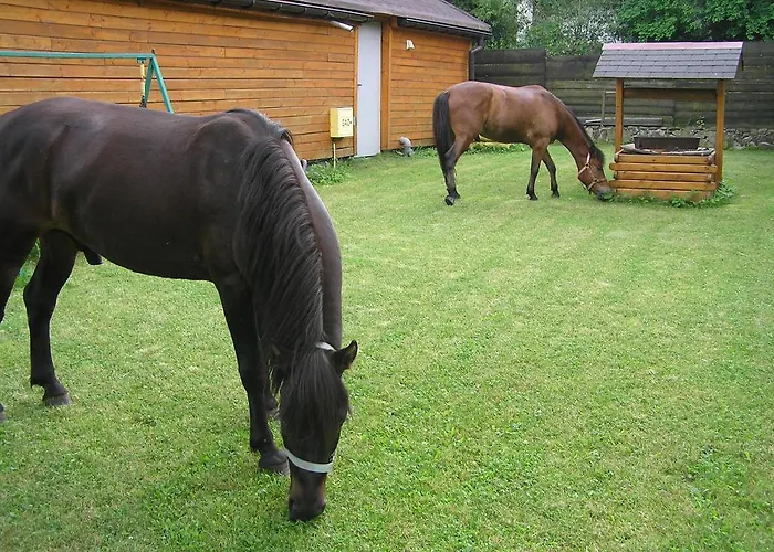 Penzion Pod Brzozami 3*