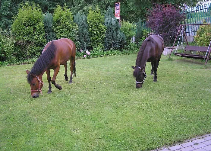 Guest house Pod Brzozami Korbielow