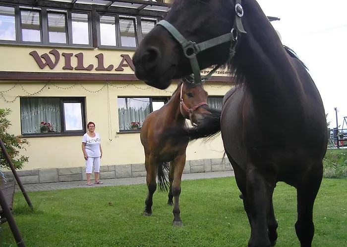 بيت ضيافة Pod Brzozami 3*