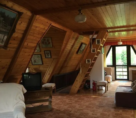 Pod Brzozami Penzion 3*